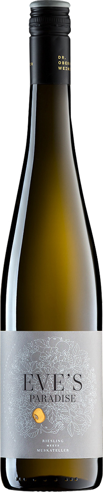 2020 Riesling meets Muskateller trocken - Weingut Dr. Oberhofer