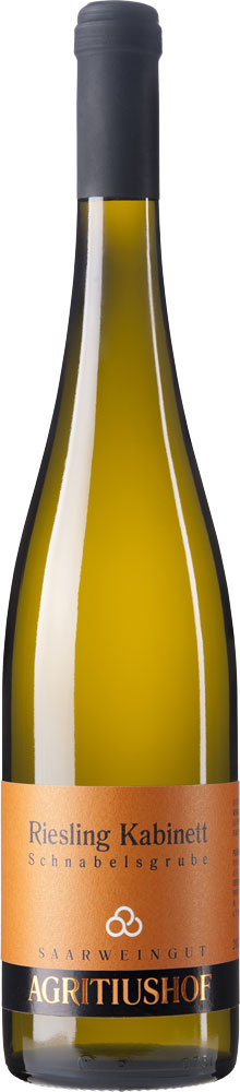 2012 Riesling Schnabelsgrube Kabinett trocken - Weingut Agritiushof
