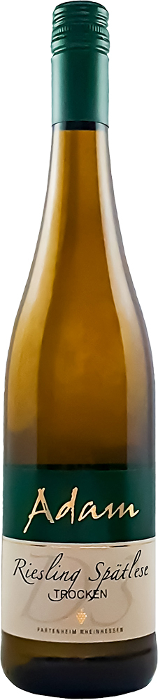 Adam 2019 D3 Riesling Spätlese trocken