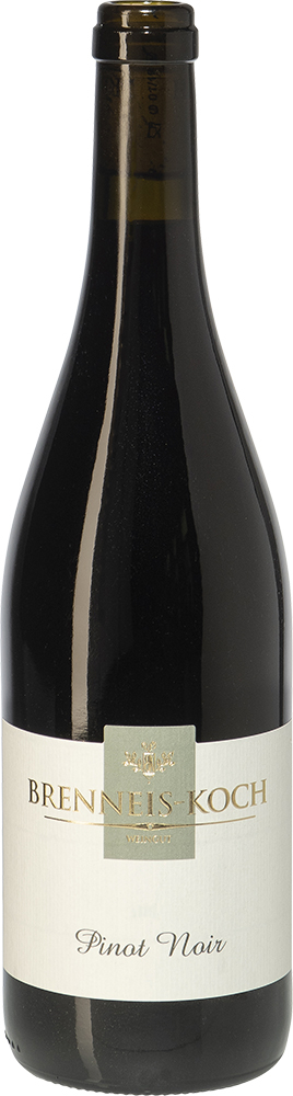 Brenneis-Koch 2013 Pinot noir Rotwein - Barrique - trocken