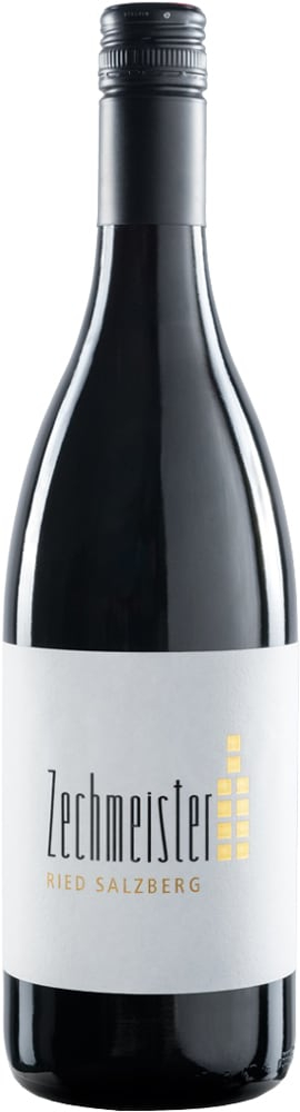 Gernot Zechmeister 2020 Merlot Salzberg trocken