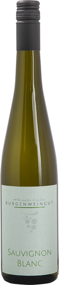 Burgenweingut 2018 Sauvignon Blanc trocken