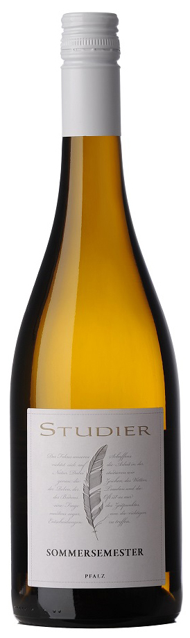 2020 Sommersemester Weißwein-Cuvée - Weingut Studier