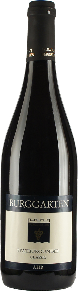 2013 Ahr Spätburgunder Classic // Weingut Burggarten