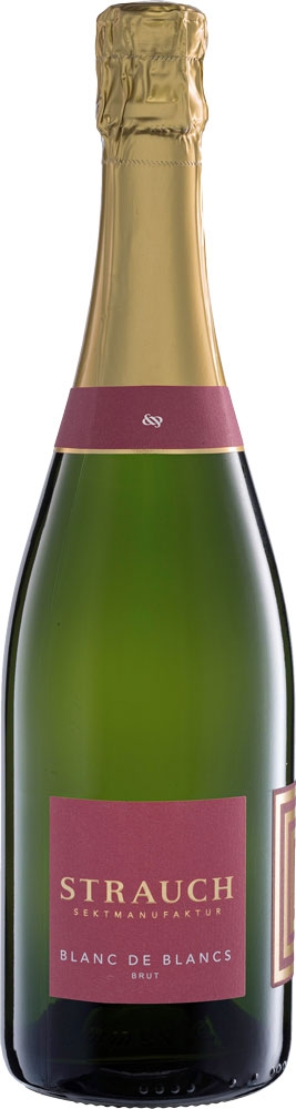 Blanc de Blancs brut Bio - Strauch Sektmanufaktur