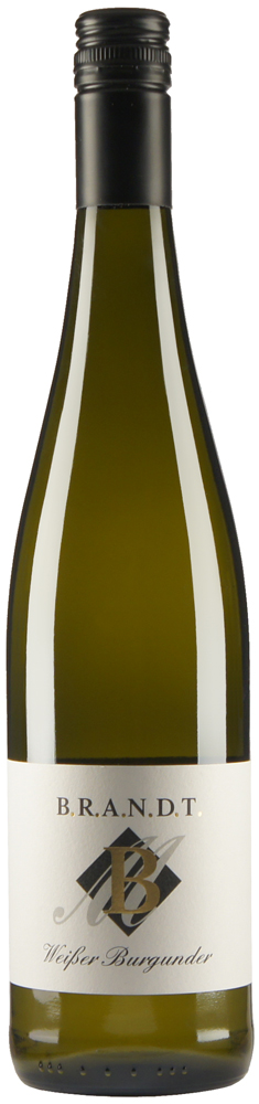 2013 Weißer Burgunder trocken - Weingut Brandt
