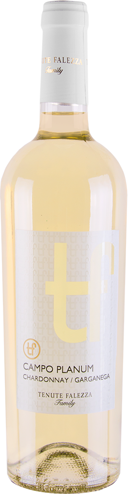 2025 Campo Planum Chardonnay/Garganega Verona IGP