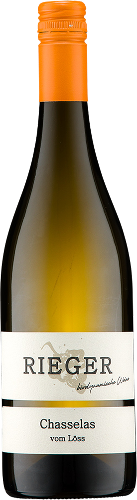 2023 Chasselas vom Löss BIO