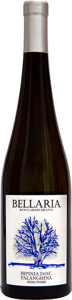 2025 Falanghina Irpinia DOC