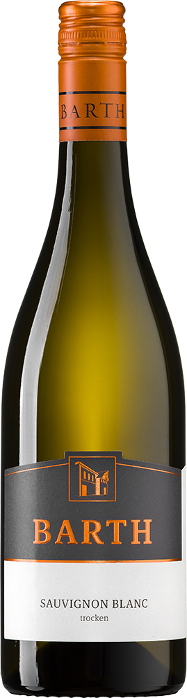 2025 Sauvignon Blanc