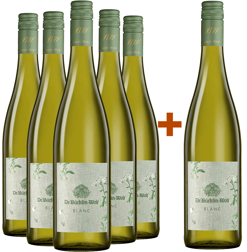5+1 Paket "Blanc" Cuvée weiß Bio BIO