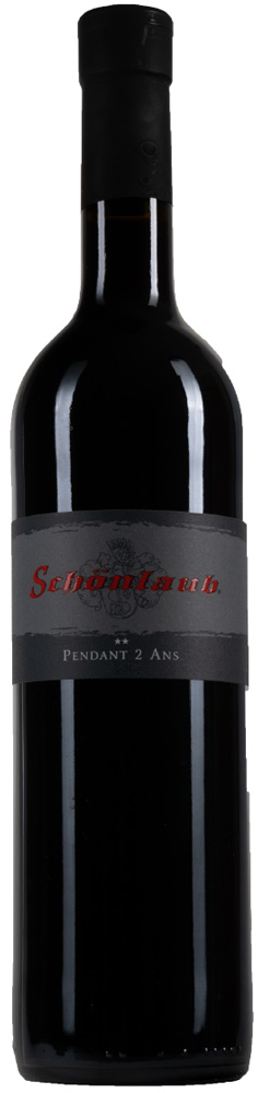 2009 PENDANT® 2 ANS **