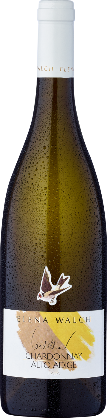 2025 Chardonnay Cardellino Alto Adige DOC