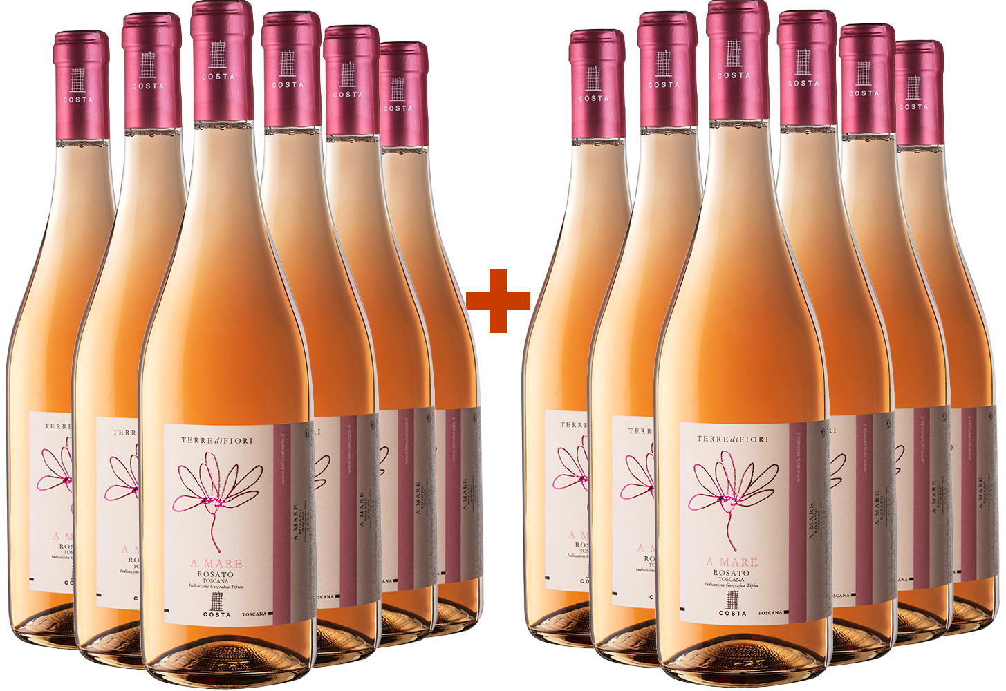 6+6 Paket Terredifiori A Mare Rosé Toscana IGP