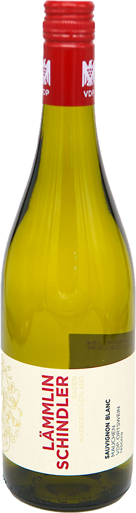 2024 Mauchen Sauvignon Blanc Ortswein BIO