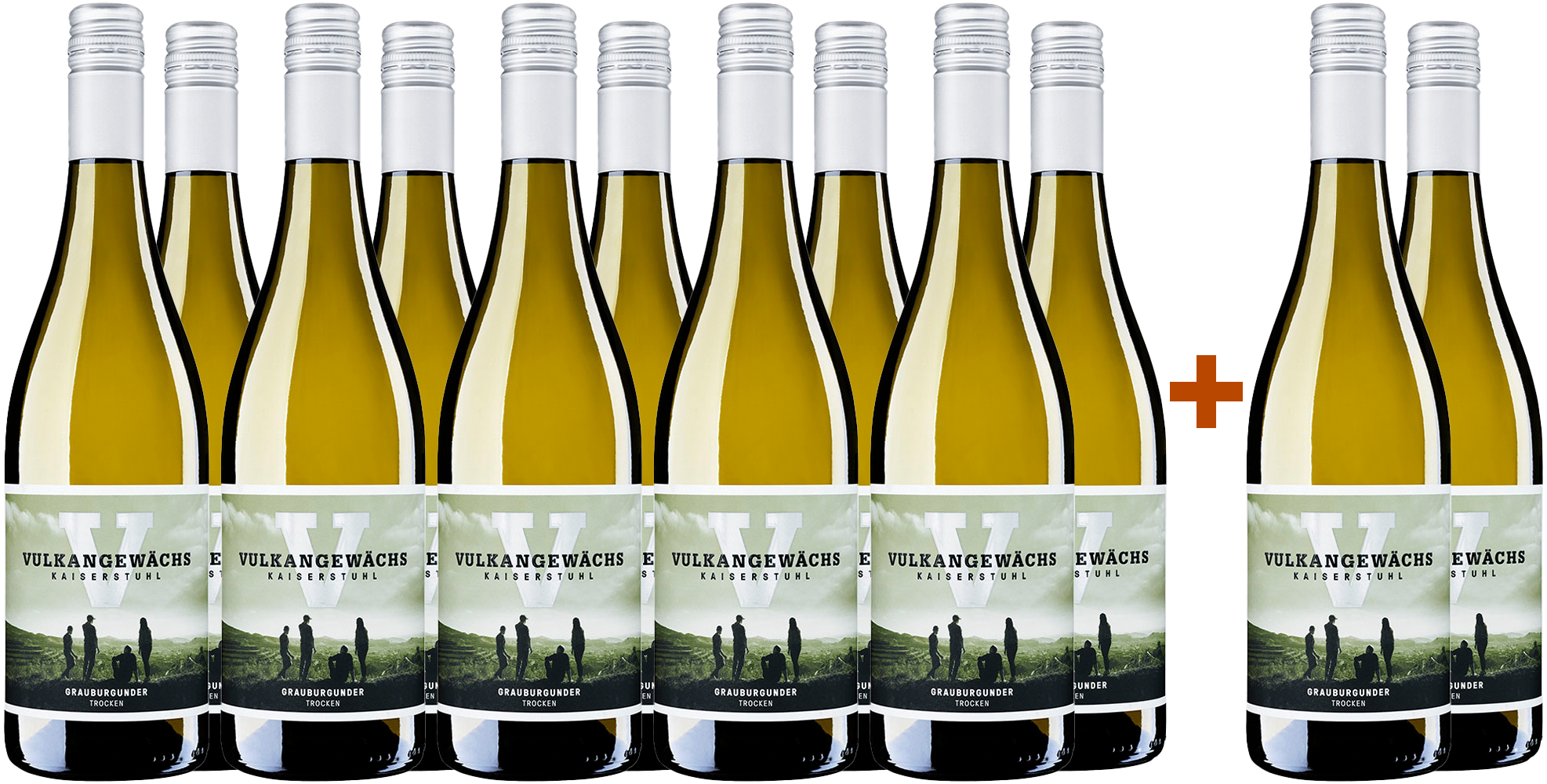 10+2 Paket Vulkangewächs Grauburgunder