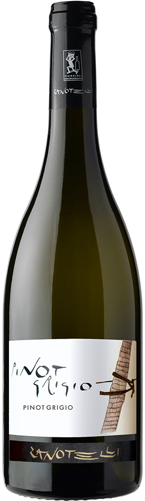 2024 Pinot Grigio Linea Le Strope Trentino DOC