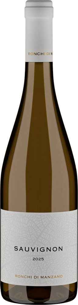 2025 Sauvignon Friuli Colli Orientali DOC