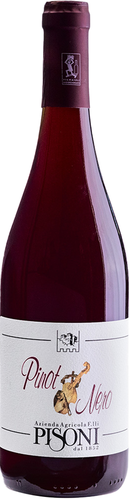 2022 Pinot Nero Vigneti delle Dolomiti IGP BIO