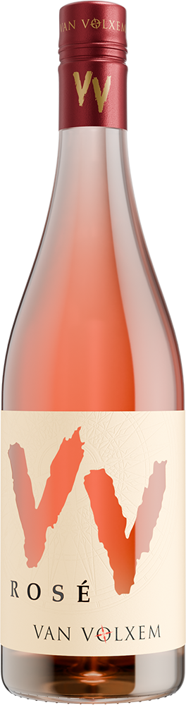 2024 VV Rosé Pinot Noir