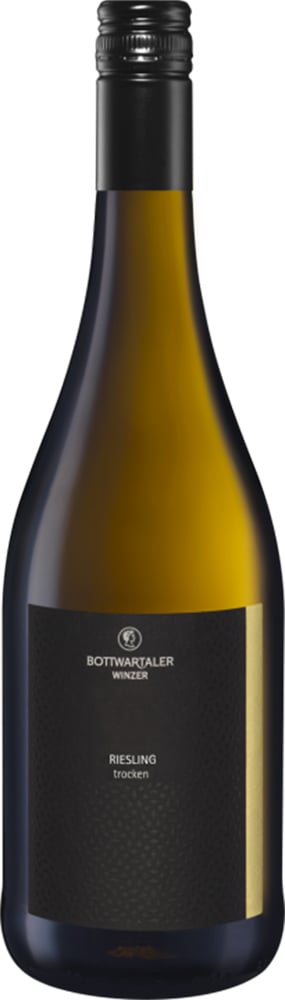 2022 | Riesling ( Wir - international )