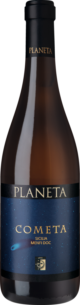 2024 Planeta Cometa BIO