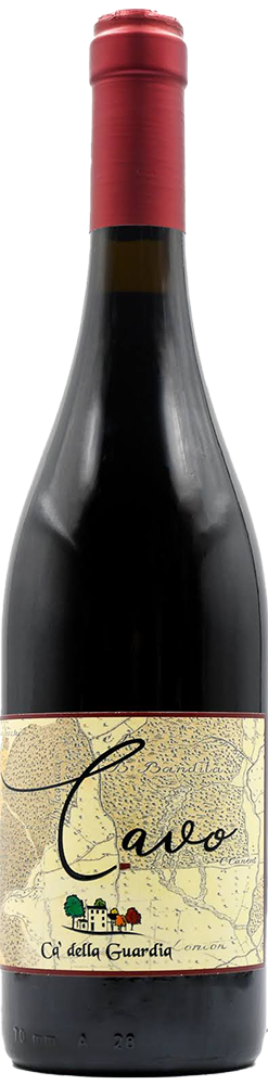 Cavo Cabernet Franc Veneto IGP