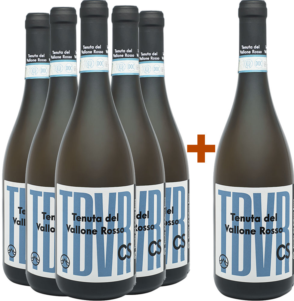 5+1 Paket TDVR CS Carricante