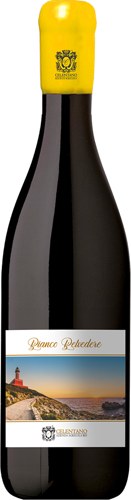 2024 Bianco Belvedere