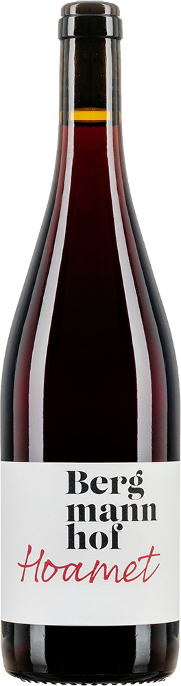 2022 Hoamet Vernatsch Mitterberg IGP
