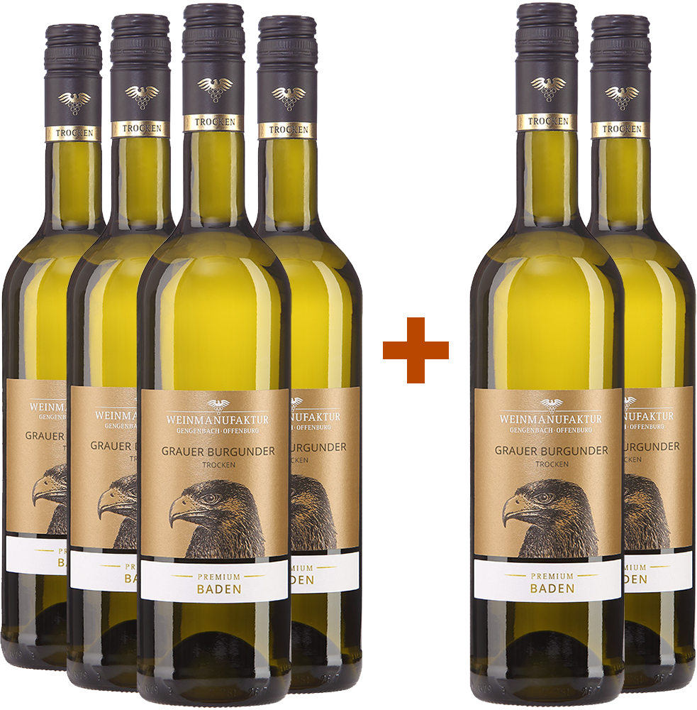 4+2 Paket Premium Grauer Burgunder