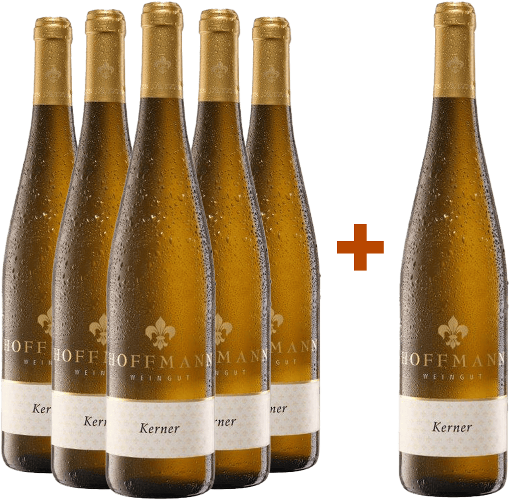 5+1 Paket Kerner süß