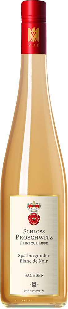 2025 Spätburgunder Blanc de Noir