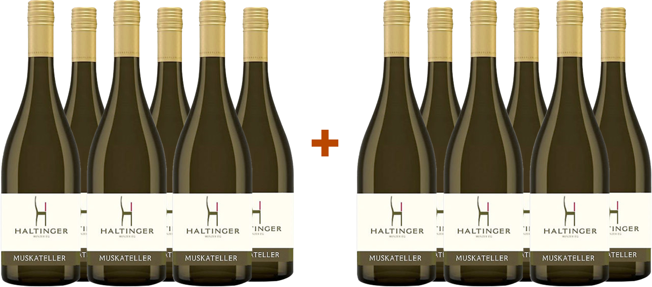 6+6 Paket Merlot trocken