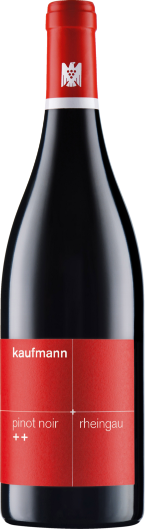 2023 Kaufmann Pinot Noir ++ BIO