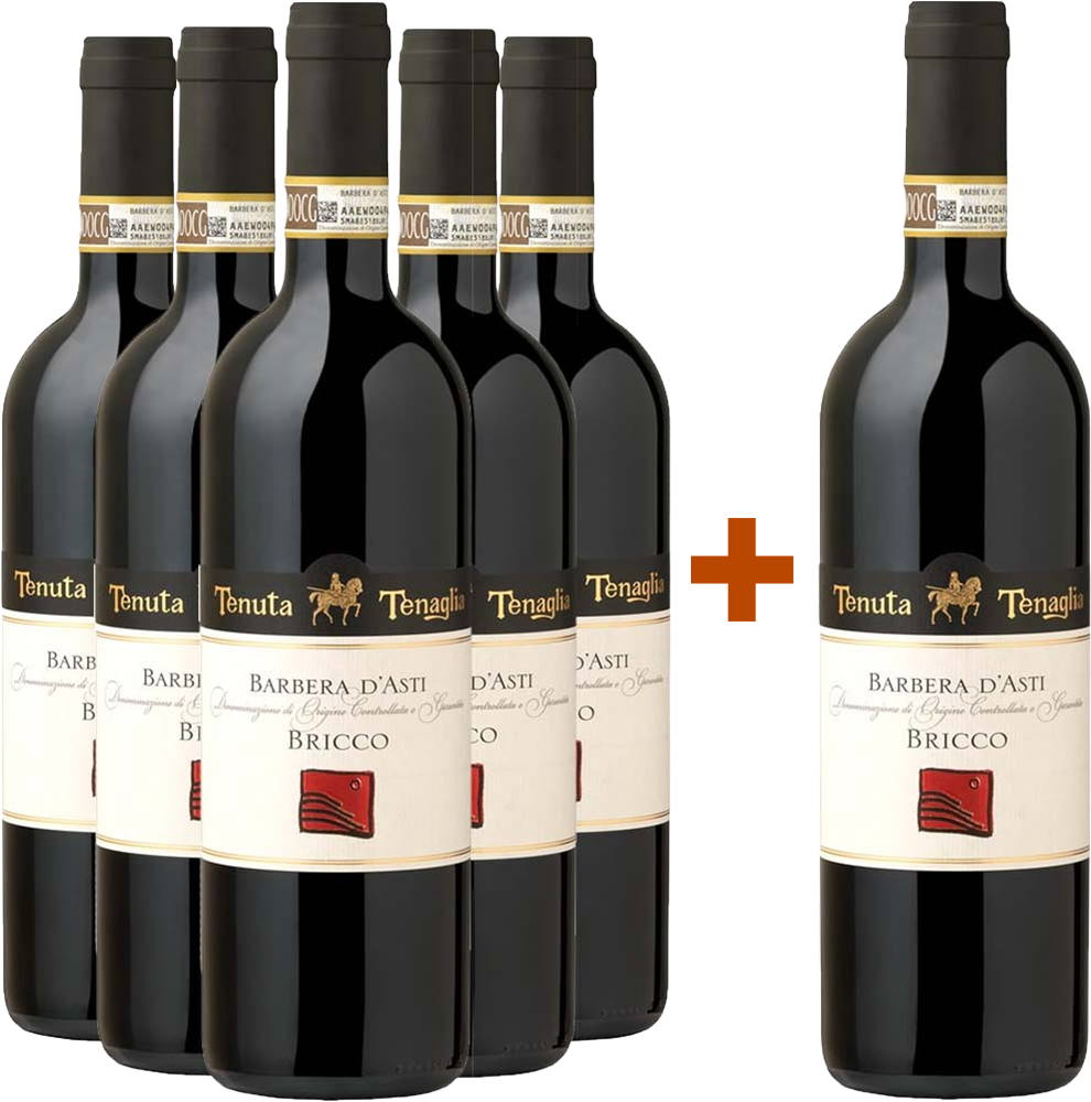5+1 Paket Bricco Barbera d'Asti DOCG trocken