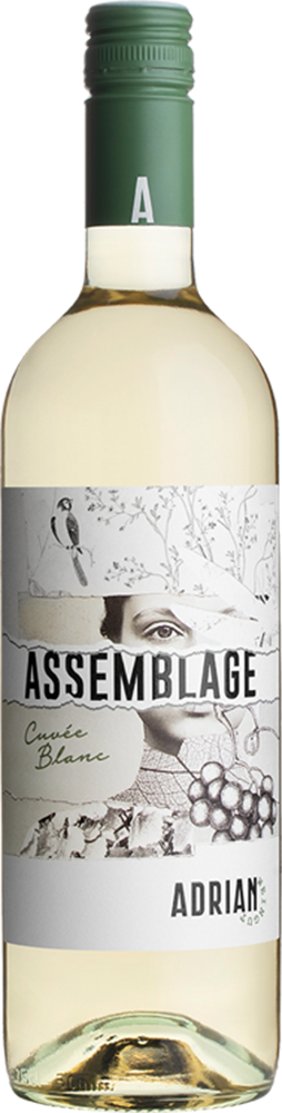 2025 Assemblage