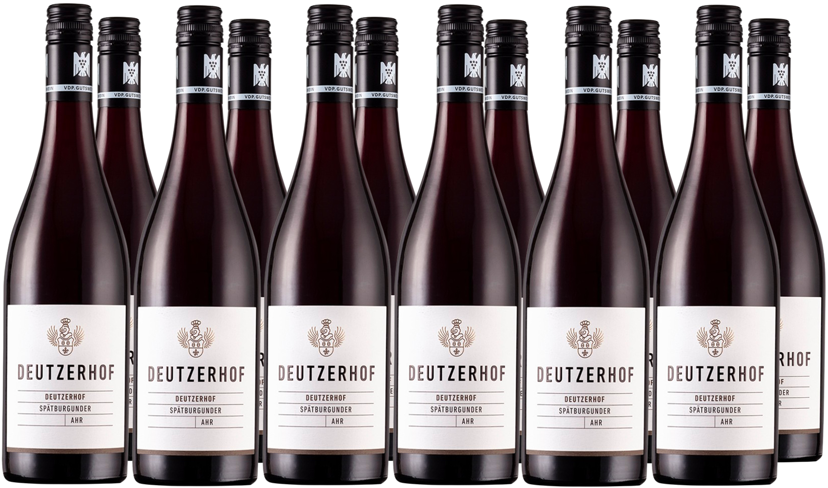 Aktionspaket 2021 Spätburgunder Gutswein trocken