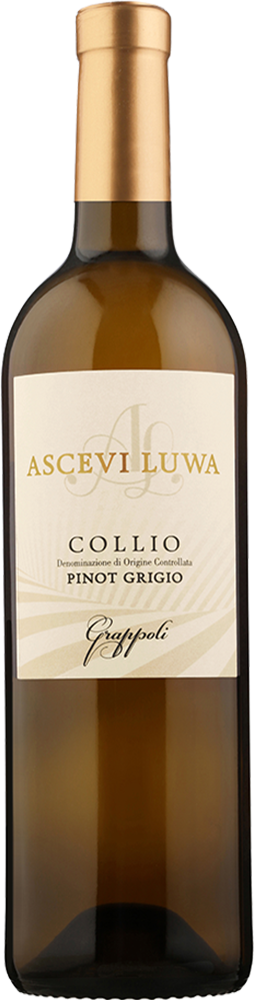 2025 Pinot Grigio Grappoli Collio Goriziano DOC