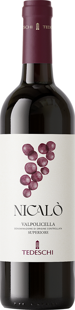 2022 Nicalo Valpolicella Superiore Venezia DOC