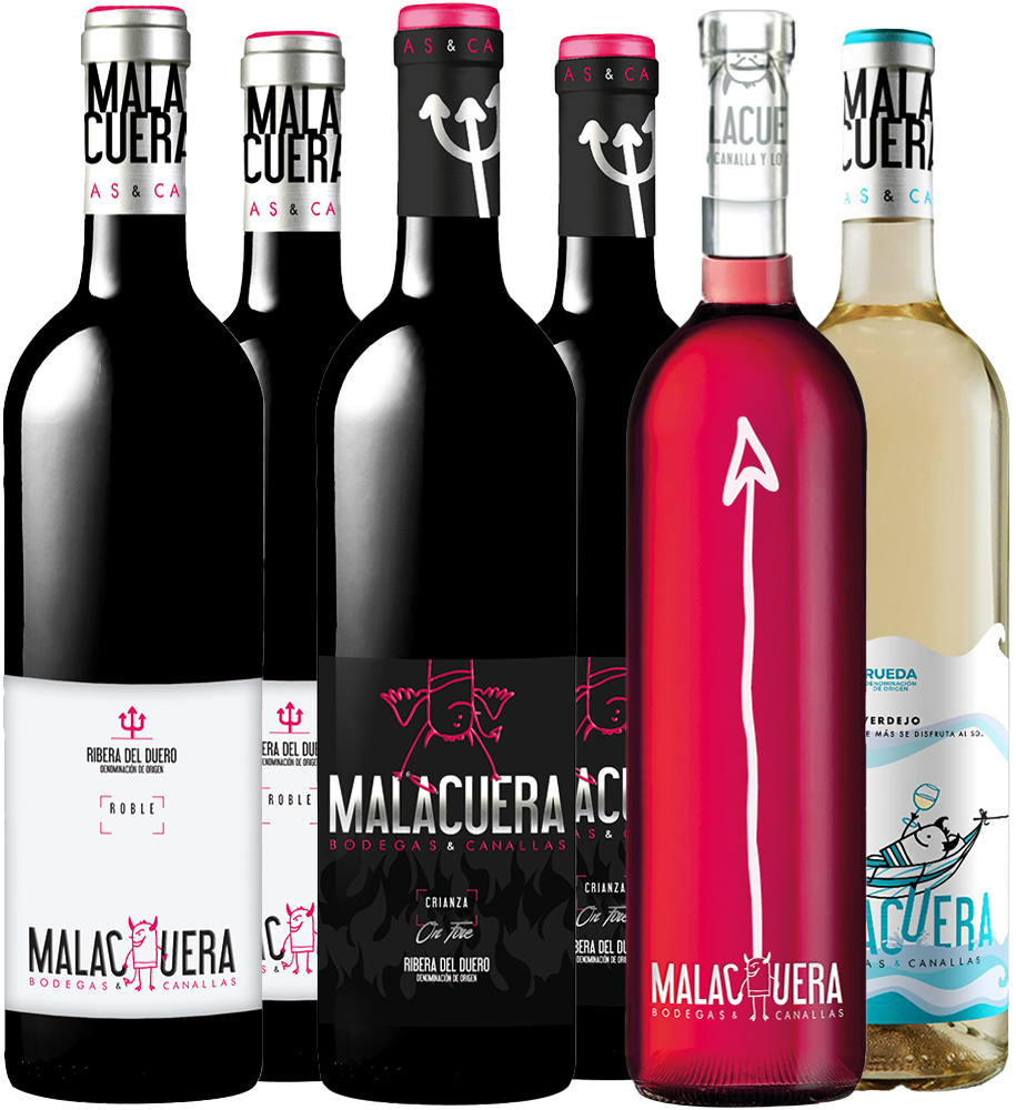 Bodegas Malacuera Kennenlern-Paket Ribera del Duero DO