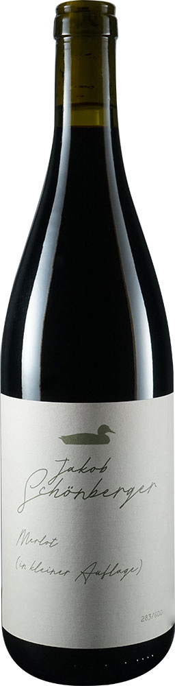 2021 Merlot BIO