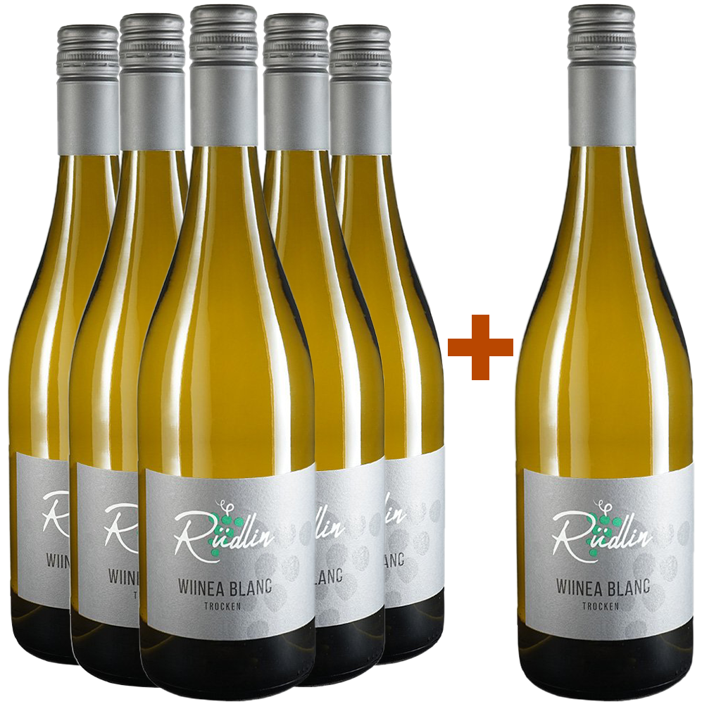 5+1 Paket WIINEA Blanc FundamenT