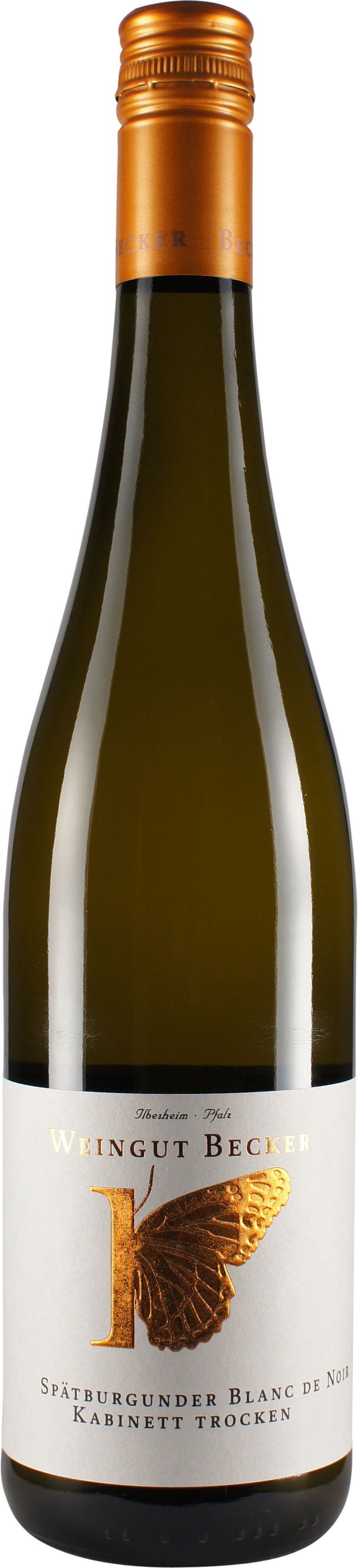 2025 Spätburgunder Blanc de Noir Kabinett BIO