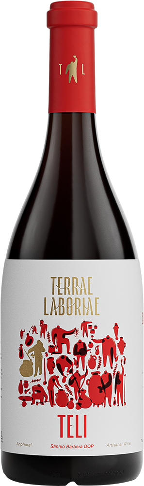 2023 TELI Barbera Sannio DOC