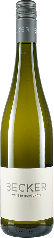 2025 Weisser Burgunder Gutswein