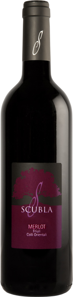 2024 Merlot Friuli Colli Orientali DOC