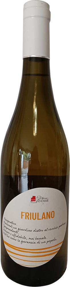 2025 Friulano Friuli DOC