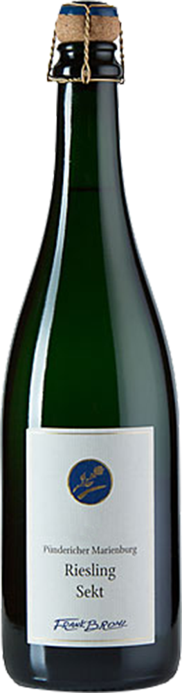 2023 Riesling Jahrgangssekt Winzersekt BIO