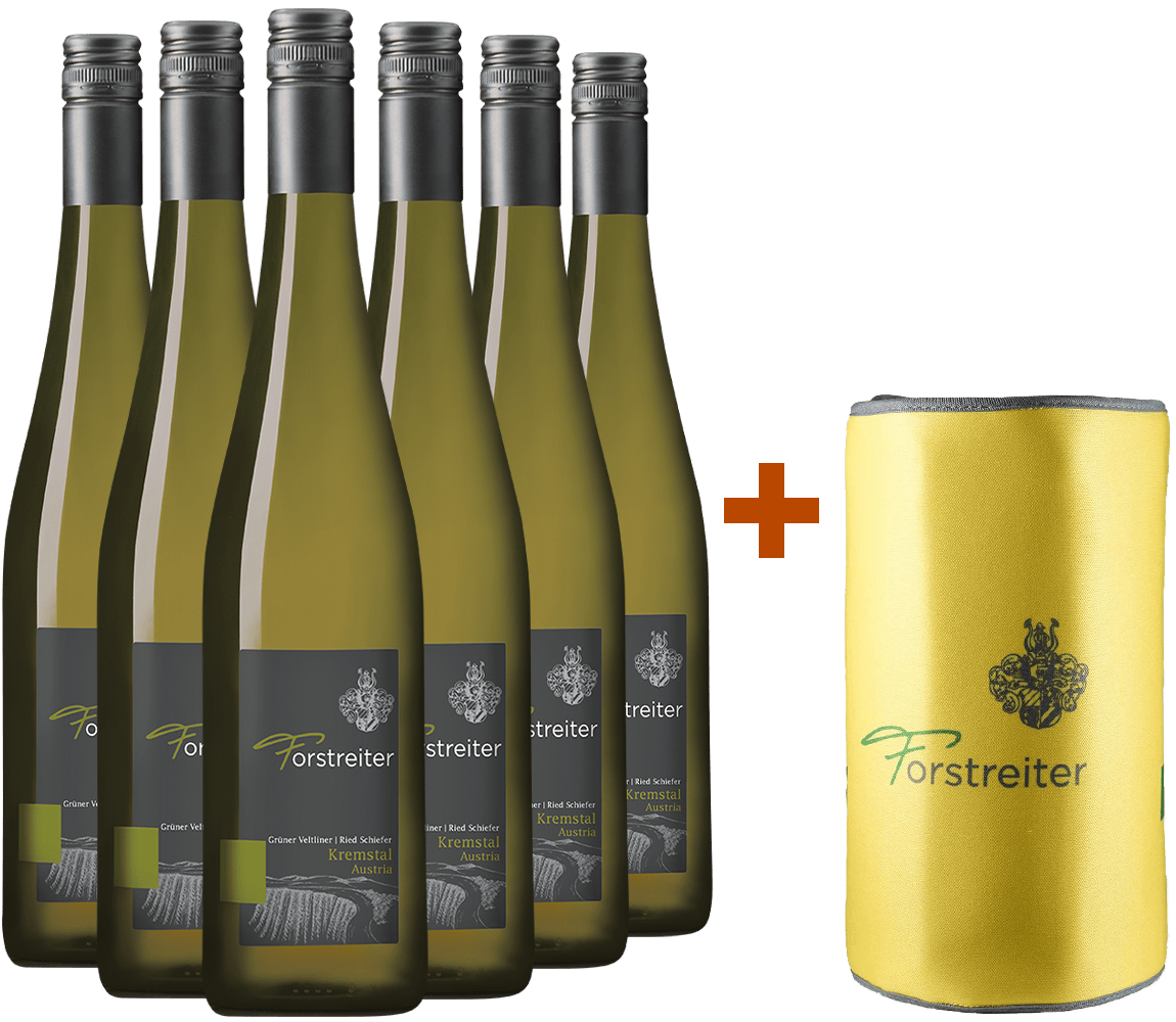 6er Paket Ried Schiefer inkl. gratis Kühlmanschette